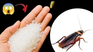 किचन जुगाड