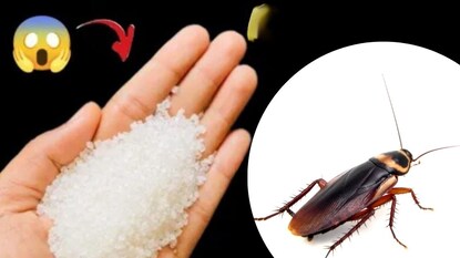 किचन जुगाड किचन जुगाड