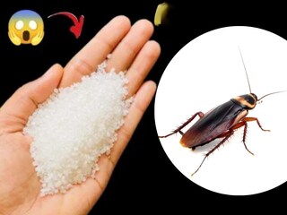 किचन जुगाड