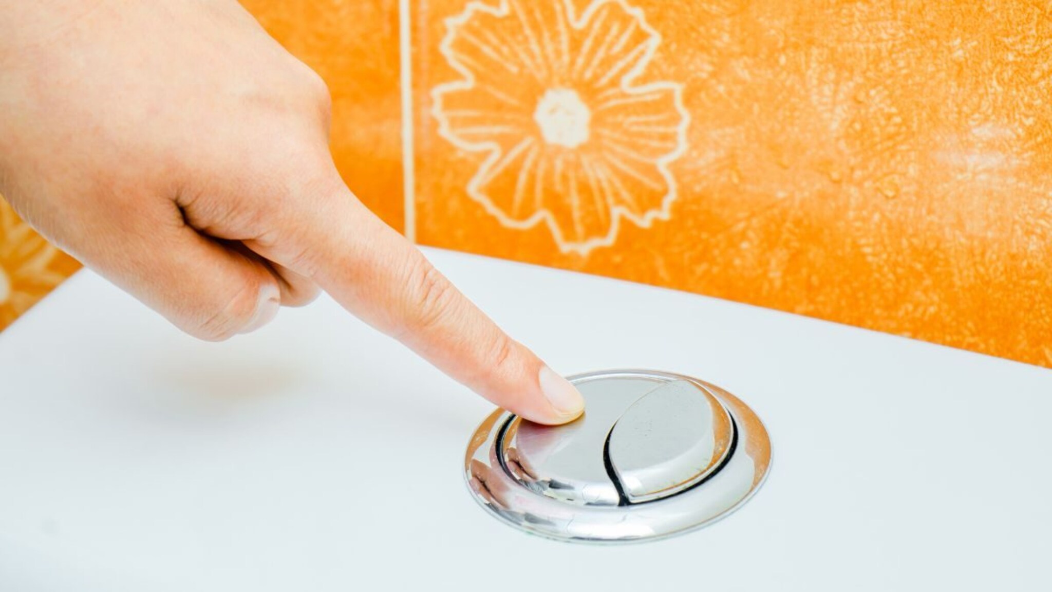 Toilet Flush Button : 2 बटणचं टॉयलेट, एक पाणी फ्लश करण्यासाठी, मग दुसरं कशासाठी असतं?