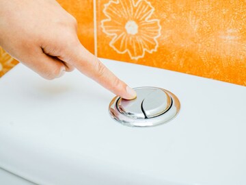 2 बटणचं टॉयलेट, एक पाणी फ्लश करण्यासाठी, मग दुसरं कशासाठी असतं?