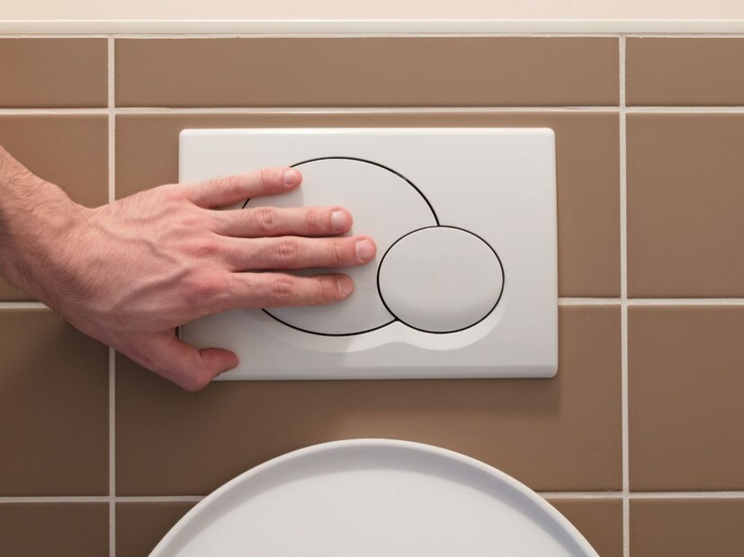 ड्युल फ्लश टॉयलेटमध्ये एक फ्लश बटण मोठा आणि एक लहान असतो. तसं या दोन्हीपैकी आपण एकच प्रेस करतो पण दुसऱ्याचा मग वापर काय हे अनेकांना माहिती नाही.