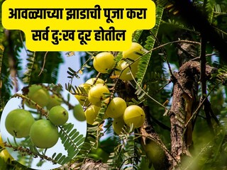 News18