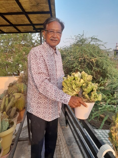 डॉ. तरुण गुप्ता असे या व्यक्तीचे नाव आहे. राजस्थानच्या उदयपूर येथील रहिवासी असून उदयपूर शहरातील प्रसिद्ध न्यूरोलॉजिस्ट सर्जन आहेत. त्यांच्या घरात 1000 हून अधिक निवडुंगाची झाडे आहेत. ही रोपे पाहून प्रत्येकाला आश्चर्य होते. डॉ. तरुण गुप्ता असे या व्यक्तीचे नाव आहे. राजस्थानच्या उदयपूर येथील रहिवासी असून उदयपूर शहरातील प्रसिद्ध न्यूरोलॉजिस्ट सर्जन आहेत. त्यांच्या घरात 1000 हून अधिक निवडुंगाची झाडे आहेत. ही रोपे पाहून प्रत्येकाला आश्चर्य होते.