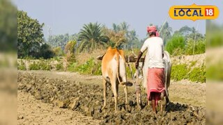 प्रतिकात्मक फोटो