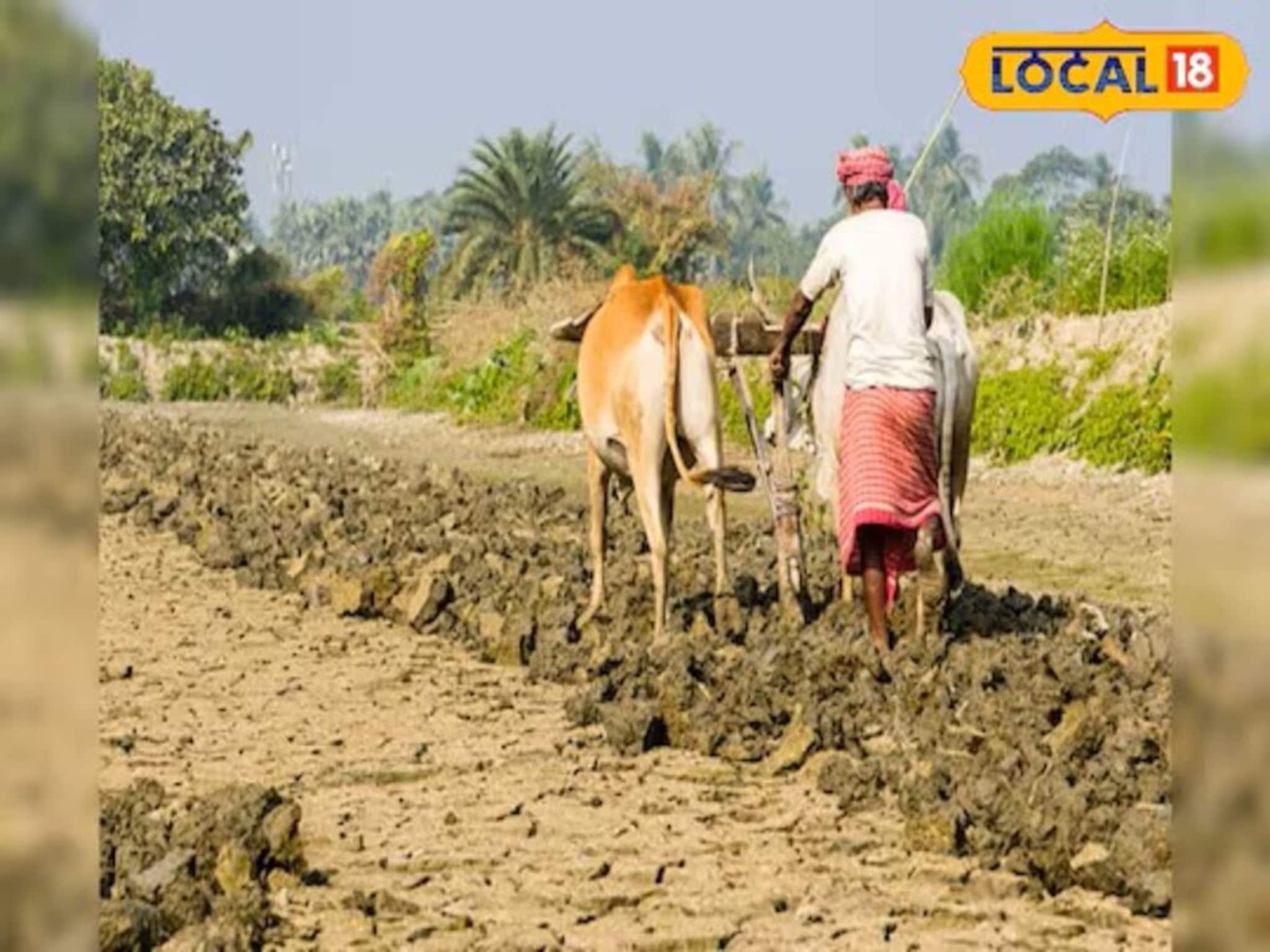 एकाच छताखाली मिळणार वेद आणि शेतीचे शिक्षण, याठिकाणी सुरू होणार अनोखा प्रयत्न