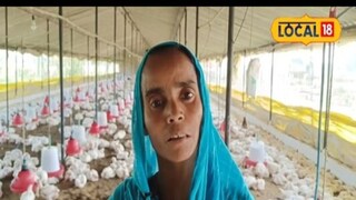 हजीराबानो हजीराबानो