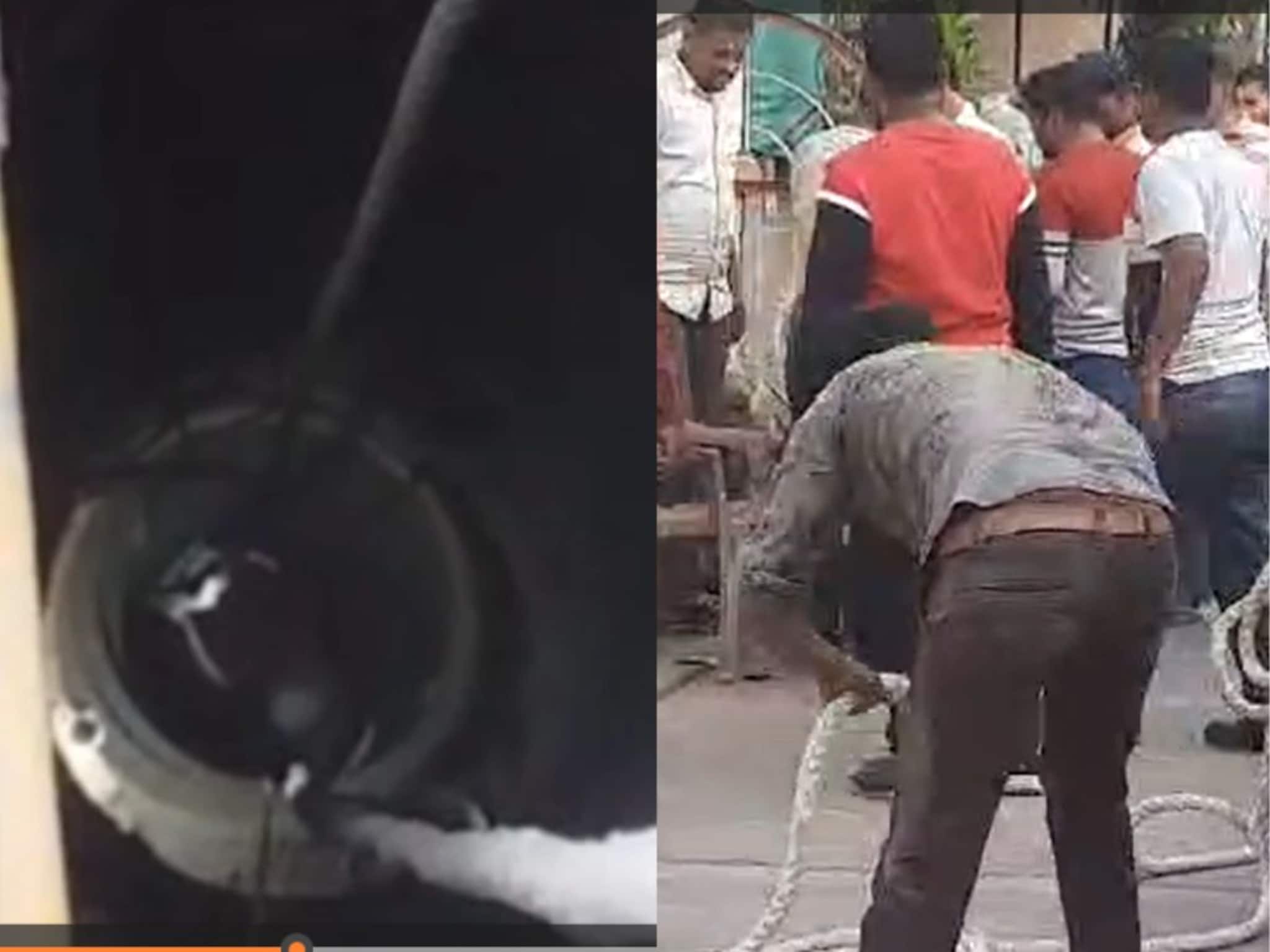 Bhusawal News : खोदकाम सुरू असताना विहीर कोसळली; भुसावळमध्ये मोठा अपघात