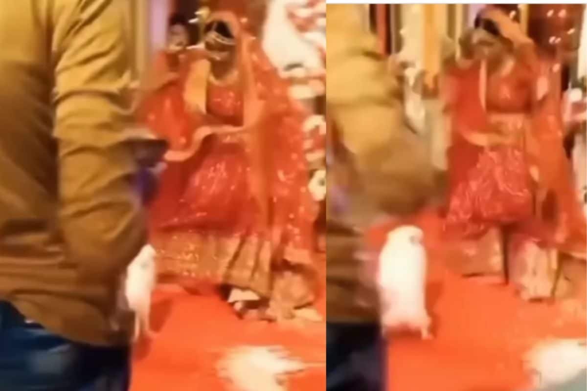 The Bride Donned A Sabyasachi Lehenga On 'Anand Karaj', Draped Nauvari  Saree At Her Marathi Wedding