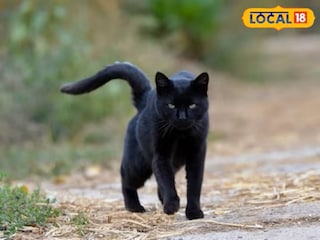 प्रतिकात्मक फोटो प्रतिकात्मक फोटो