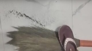 फोटो : व्हायरल व्हिडीओ ग्रॅब