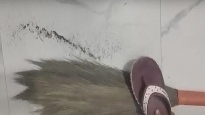 फोटो : व्हायरल व्हिडीओ ग्रॅब फोटो : व्हायरल व्हिडीओ ग्रॅब