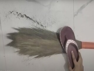 फोटो : व्हायरल व्हिडीओ ग्रॅब