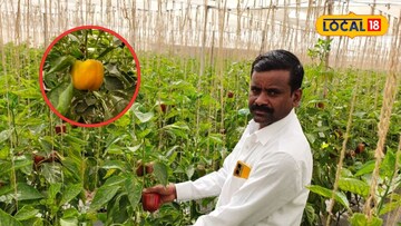 दुष्काळी