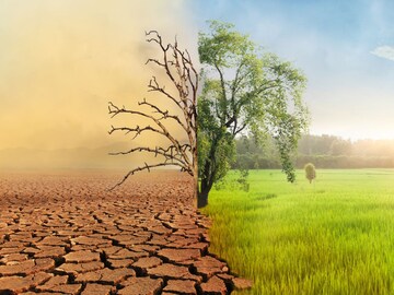 राज्यात या भागात असेल उष्णतेची लाट, हवामान विभागाला नेमकं हे कसं कळतं?