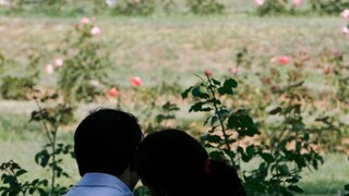 गर्लफ्रेंडसाठी पत्नीला मारलं (प्रतिकात्मक फोटो) 