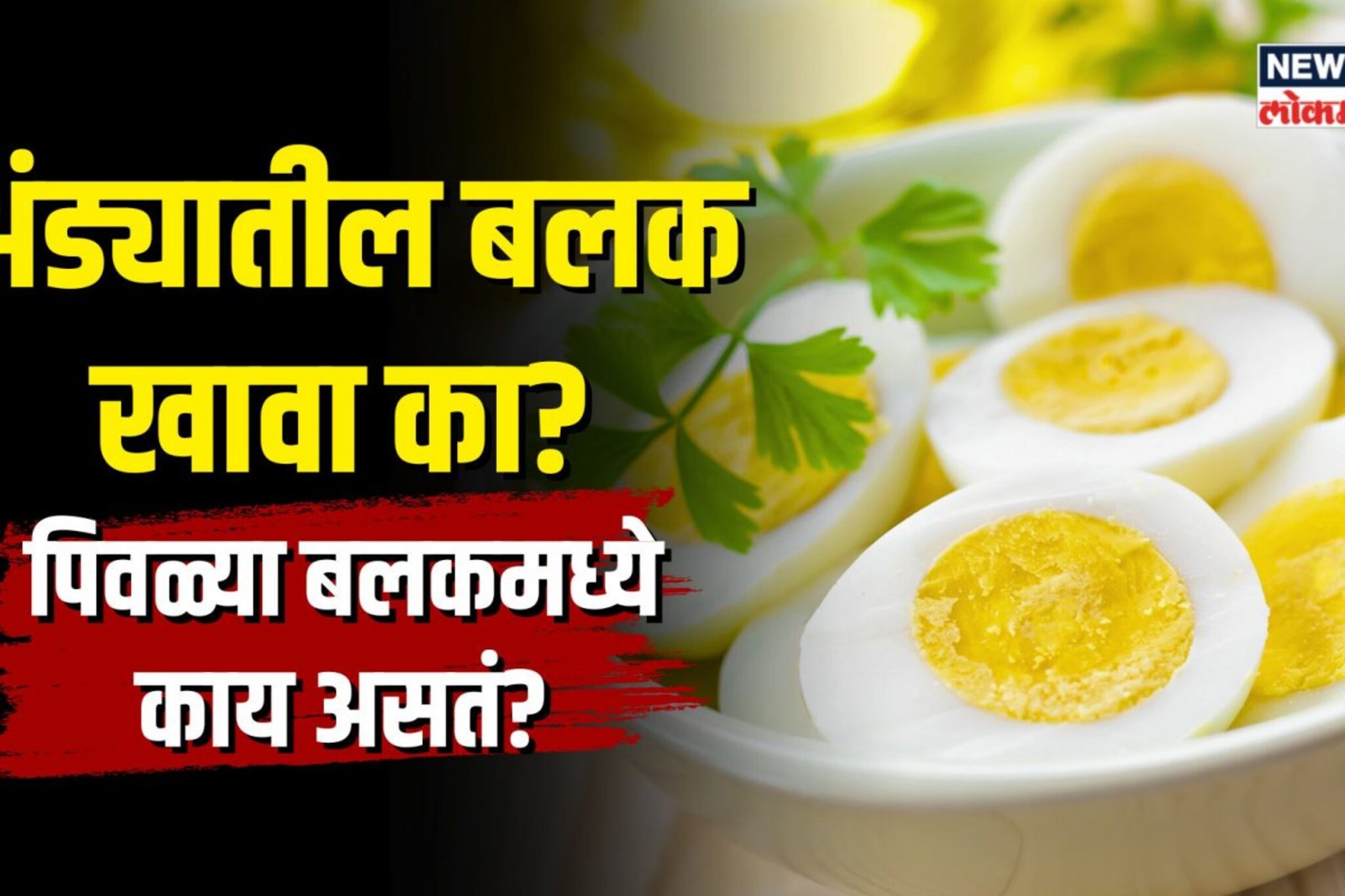 Egg Yolk | अंड्यातला पिवळा बलक खावा का? त्यामध्ये नेमकं काय असतं? | N18V