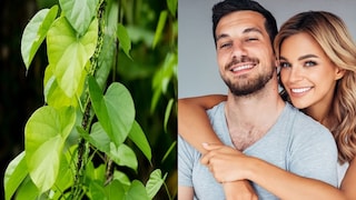 मेल फर्टिलिटी