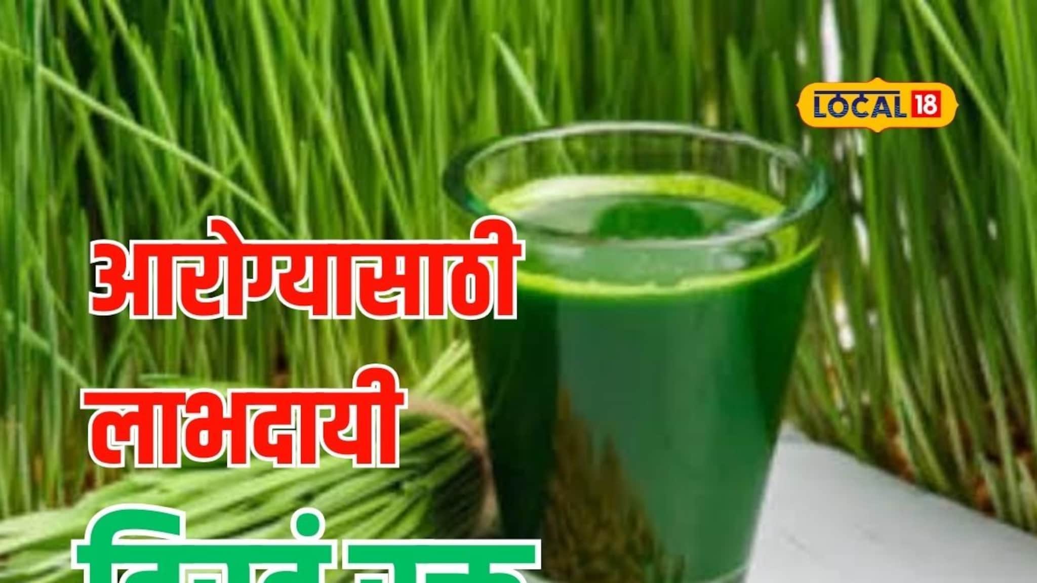 आरोग्यदायी जीवनासाठी 'हिरवं रक्त', पाहा गव्हांकुर रस बनवायचा कसा? Video