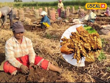 सातारा सातारा