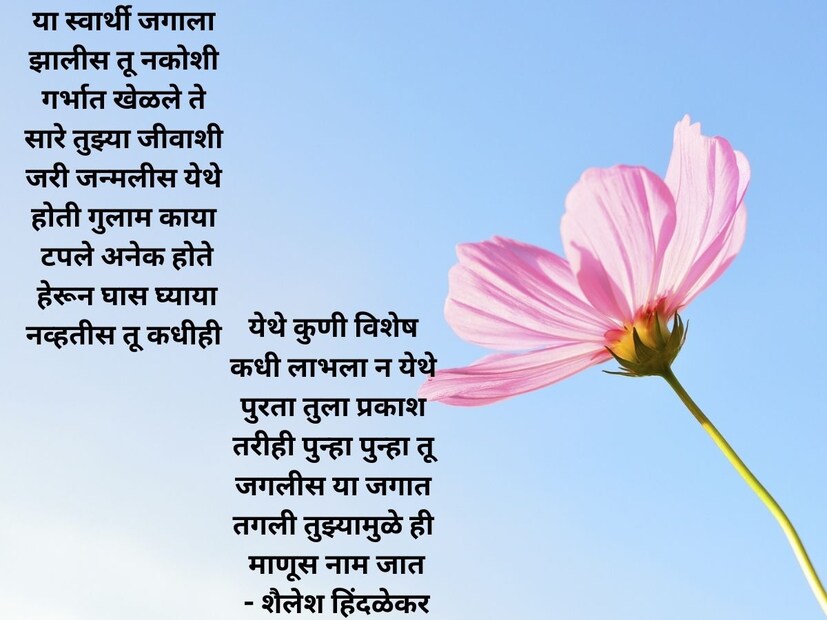  या स्वार्थी जगाला, झालीस तू नकोशी. गर्भात खेळले ते सारे तुझ्या जीवाशी. जरी जन्मलीस येथे, होती गुलाम काया. टपले अनेक होते, हेरून घास घ्याया. नव्हतीस तू कधीही, येथे कुणी विशेष. कधी लाभला न येथे, पुरता तुला प्रकाश. तरीही <a href="https://news18marathi.com/tag/womens-day/">पुन्हा पुन्हा तू जगलीस या जगात</a>, तगली तुझ्यामुळे ही माणूस नाम जात.. - शैलेश हिंदळेकर