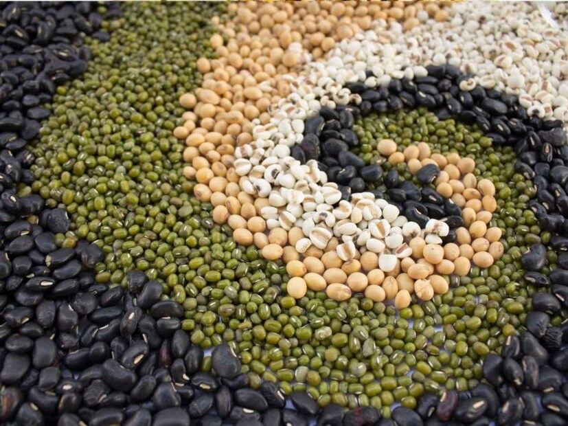 Millets In Marathi Millets Benefits : मिलेट्समध्ये नेमकं कोणकोणतं धान्य येतं? जाणून घ्या ...