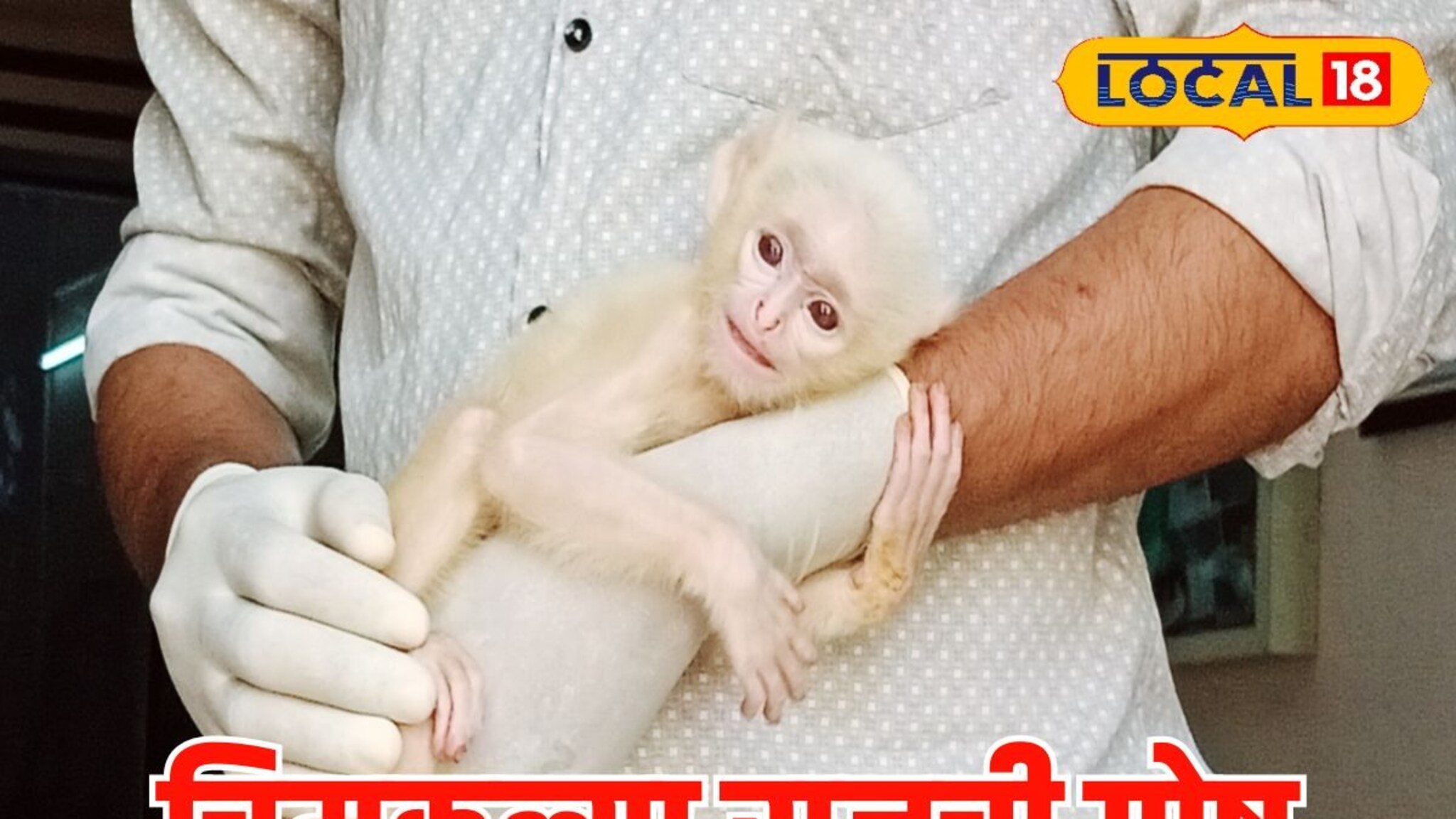 आईपासून दुरावला दीड महिन्यांचा चिमुकला; करुणाश्रमात मिळाला राजूला आश्रय, Video