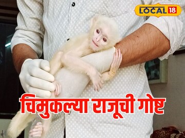 आईपासून आईपासून