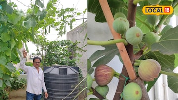 पुण्याच्या