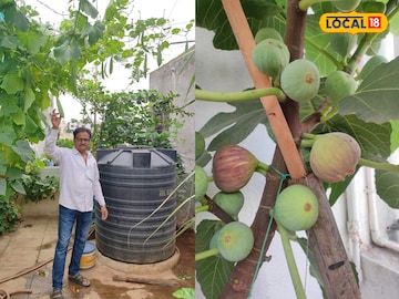 पुण्याच्या पुण्याच्या