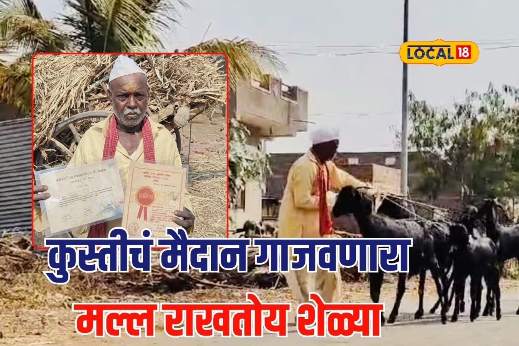 उमेदीच्या काळात गाजवलं कुस्तीचं मैदान, म्हातारपणी शेळ्या राखून जगण्याची वेळ