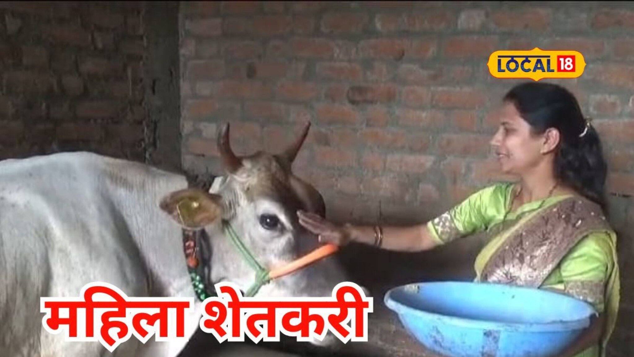 सरकारी योजनेतून कर्ज अन् सुरू केला व्यवसाय, महिलेची महिन्याला 50 हजारांची कमाई