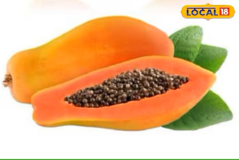 यकृताची समस्या असेल, भूक कमी लागत असेल त्यावेळी तुम्ही पपईच्या बियांना रोज रिकाम्या पोटी याचे सेवन केल्याने यकृत मजबूत होते आणि भूक वाढते.