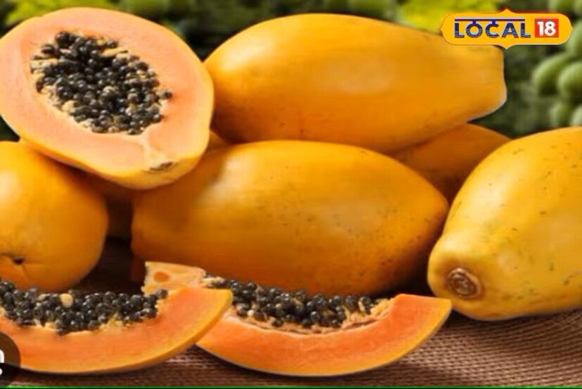 जिल्हा रुगालय बाराबंकी येथील डॉक्टर डॉ. अमित वर्मा (एमडी मेडिसिन) यांनी सांगितले की पपईचे फळ, बिया हे आपल्या आरोग्यासाठी खूप फायदेशीर आहेत. यामध्ये फायबर, प्रोटीन, व्हिटॅमिन, मिनरल्स, अँटीऑक्सिडंट्स आणि अमिनो ॲसिड्स मुबलक प्रमाणात आढळतात. त्यामुळे अनेक गंभीर आजारांपासून आपले संरक्षण होते.