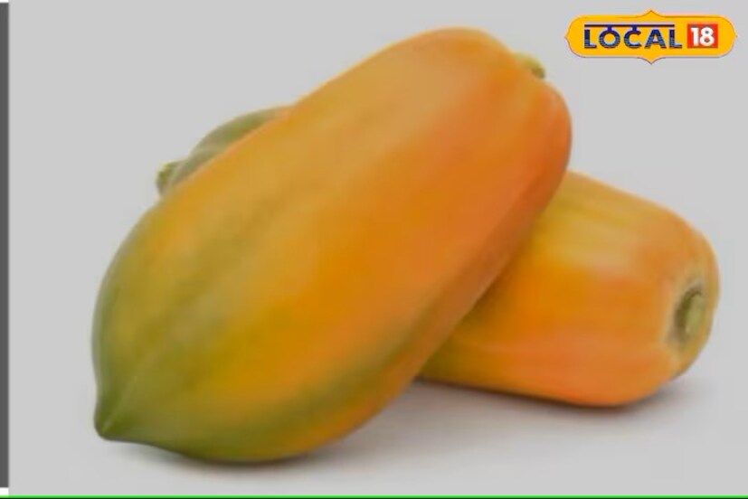 पपई असे या फळाचे नाव आहे. पपई अनेकांना खायला आवडते. या फळाचे फायदेही खूप आहेत. यामुळे अनेक गंभीर आजारांपासून सुटका होऊ शकते. आयुर्वेदानुसार, यामध्ये अनेक पोषक तत्त्व आहेत. त्यामुळे हे फळ आरोग्याला फायदेशीर आहे.  पपई असे या फळाचे नाव आहे. पपई अनेकांना खायला आवडते. या फळाचे फायदेही खूप आहेत. यामुळे अनेक गंभीर आजारांपासून सुटका होऊ शकते. आयुर्वेदानुसार, यामध्ये अनेक पोषक तत्त्व आहेत. त्यामुळे हे फळ आरोग्याला फायदेशीर आहे.