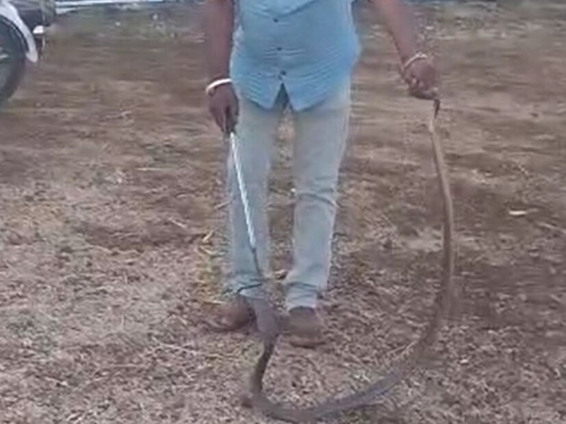  अखेर काही तासांच्या अथक प्रयत्नानंतर या <a href="https://news18marathi.com/photogallery/viral/knowledge-news-is-a-snake-able-to-remove-its-own-poison-from-the-human-body-l18w-mhij-1163472.html">सापाला रेस्क्यू करण्यात यश</a> आलं. एवढा मोठा साप पाहिल्यानंतर ग्रामस्थांमध्येही भीतीचं वातावरण निर्माण झालं