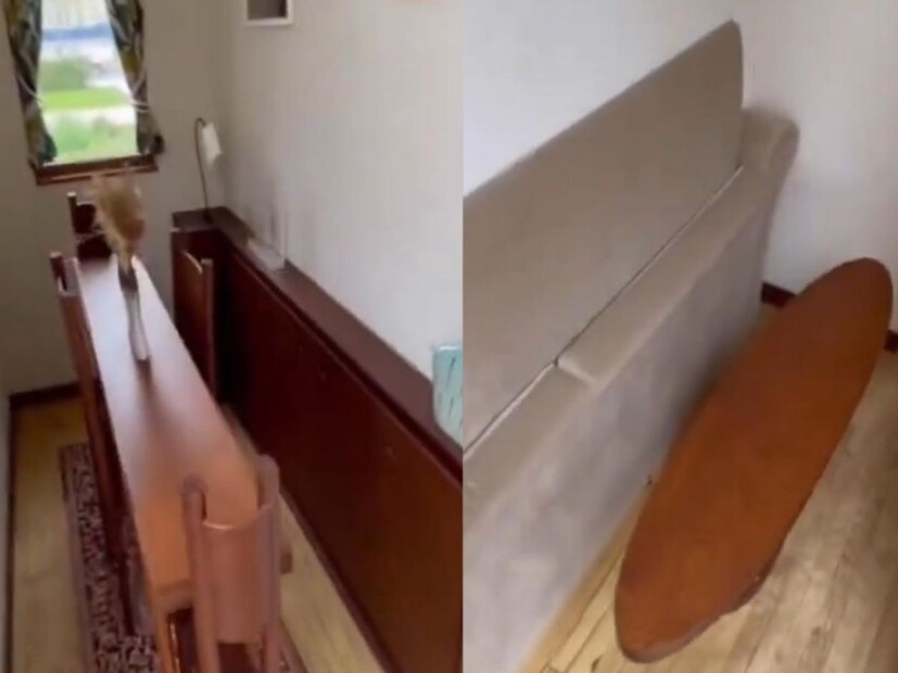 या कलाकाराने एका मुलाखतीत सांगितलं होतं की, भविष्यात जेव्हा कमी जमीन असेल आणि लोकांकडे घर बांधण्यासाठी जागा नसेल, तेव्हा ते अशी पातळ घरे बांधतील.