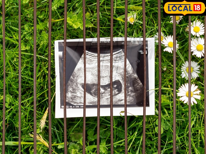 विनोद कुमार यांनी सांगितलं की, तुरुंगातील एखादी कैदी महिला गरोदर असेल तर प्रसूतीसाठी तिला रुग्णालयात नेलं जातं. बाळाच्या जन्मानंतर त्याच्या जन्म दाखल्यात जन्मठिकाणाच्या जागी त्या रुग्णालयाचाच पत्ता येतो. 