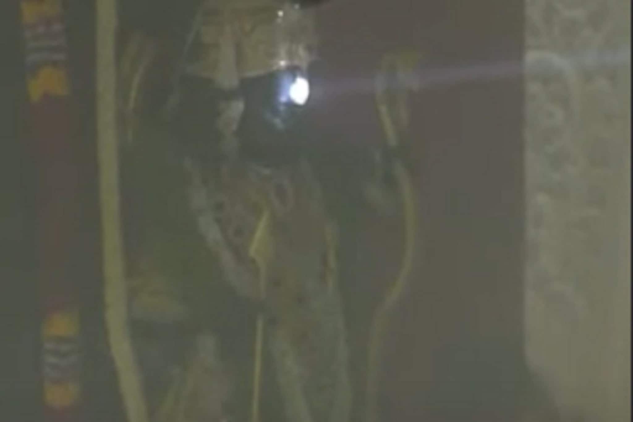 प्रभू श्रीरामाच्या मूर्तीचा सूर्यतिलक सोहळा, पाहा VIDEO