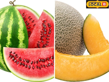 टरबूज की खरबूज? दोन्ही पाणीदार, पण उन्हाळ्यात आरोग्यासाठी सर्वोत्तम काय? टरबूज की खरबूज? दोन्ही पाणीदार, पण उन्हाळ्यात आरोग्यासाठी सर्वोत्तम काय?