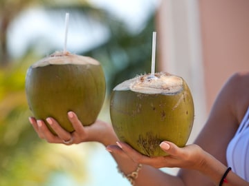 असं निवडा भरपूर पाण्याचं शहाळं; 99% लोक खरेदीच्यावेळी करतात ही चूक