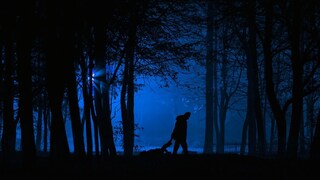 (प्रतिकात्मक फोटो) (प्रतिकात्मक फोटो)