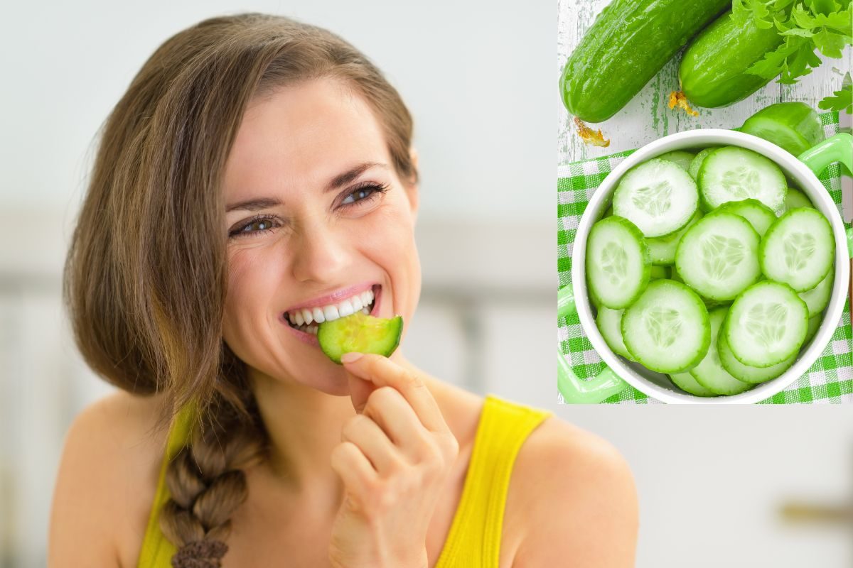 पके हुए भोजन के साथ नहीं खाना चाहिए खीरा, जानिए वजह
Cucumber should not be eaten with cooked food, know the reason