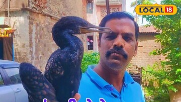 उन्हाळ्यात