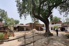 जनावरांच्या गोठ्यातून येत होता आवाज; डोकावून पाहताच हादरली महिला, थेट लॉकडाऊन