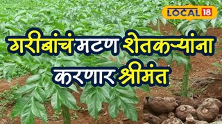 शेतकऱ्यांसाठी फायद्याची बातमी