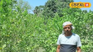 शेतकरी संजय कुमार सिंह शेतकरी संजय कुमार सिंह