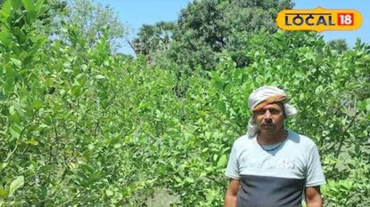 शेतकरी संजय कुमार सिंह शेतकरी संजय कुमार सिंह