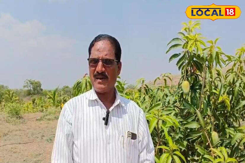 चंद्रकांत बागल असे या निवृत्त पोलीस अधिकारी शेतकऱ्याचे नाव आहे. या शेतकऱ्याने एकूण अडीच एकरात 1200 आंबा झाडाची लागवड केली आहे. या झाडांना यंदा भरघोस आंबे आले आहेत.