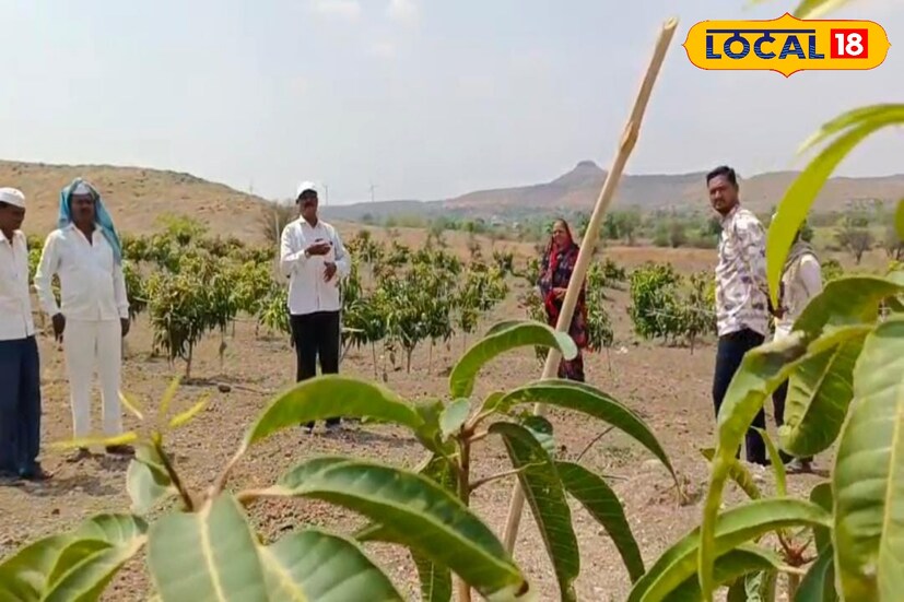 बागल यांना आधीपासून शेतीची आवड आहे. त्यामुळे 58 व्या वर्षी पोलीस सेवेतून निवृत्त झाल्यानंतर ओसाड, डोंगरी रानामध्ये काय करावं? याचा विचार रिटायर होण्याच्या आधीपासून करत होते.